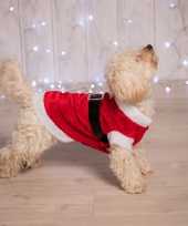 Kerstfoute kleding voor de hond